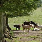 Peace, Nature & Comfort Combined Ferienhaus *