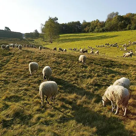 Peace, Nature & Comfort Combined