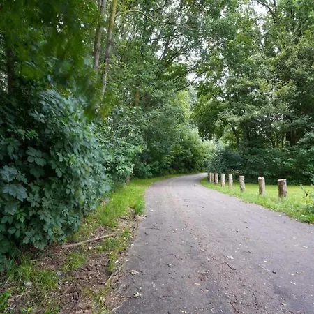 Peace, Nature & Comfort Combined * Cetturu