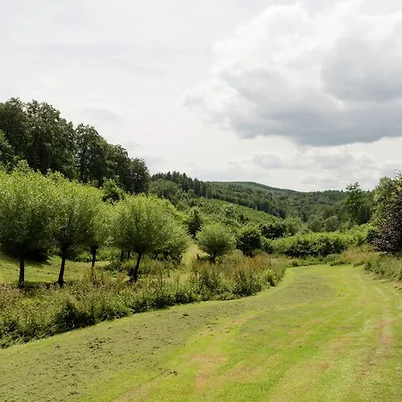 Holiday home Beautiful With Garden In Houffalize Cetturu