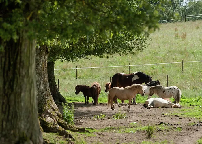 Peace, Nature & Comfort Combined Vakantiehuis *