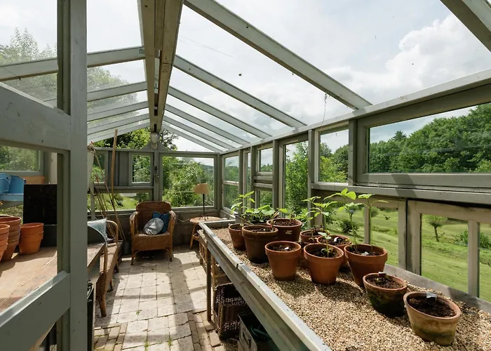 Peace, Nature & Comfort Combined *